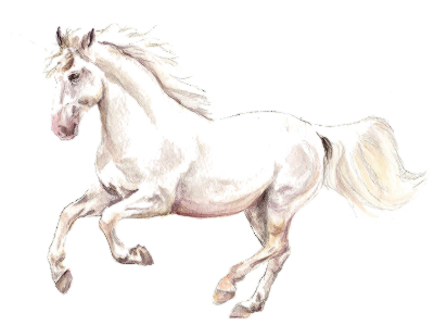 Feltörekvők támogatása!